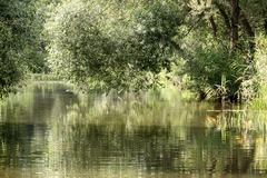 Killikus&reg; Fotographie